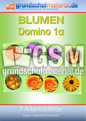 Blumen-Domino_1a.pdf